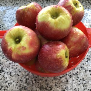 First-Apples-grown-in-Woz-Orchard